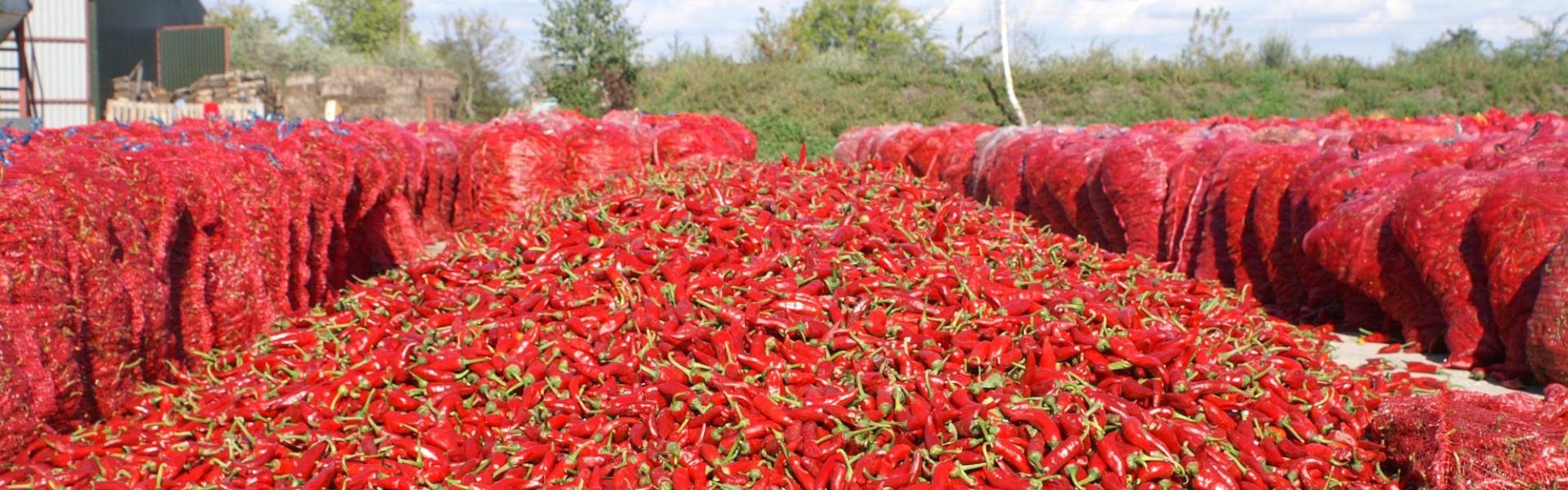 World of Origins Category