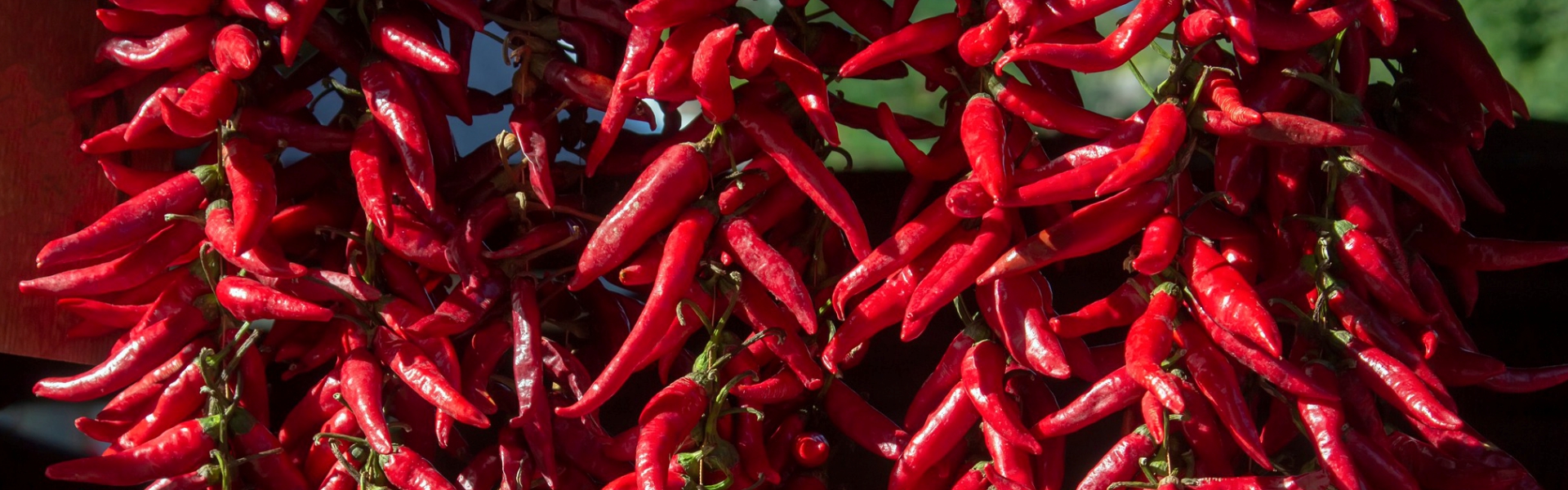 World of Origins Category