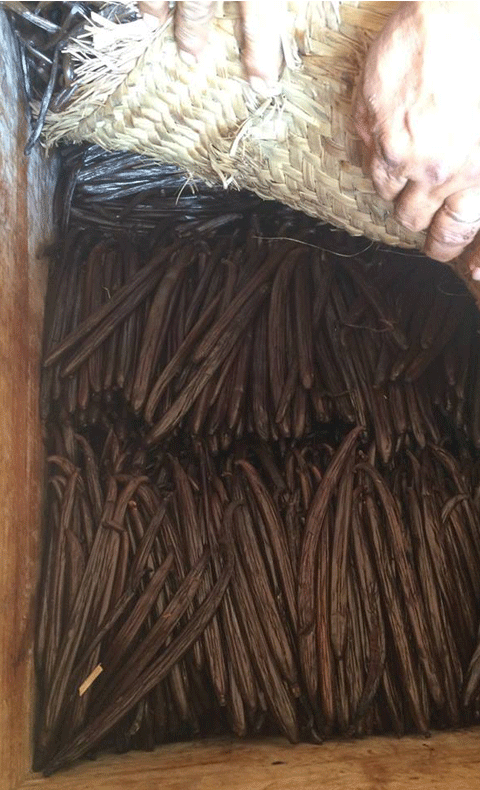 Kua Kama Vanilla Beans 3.png